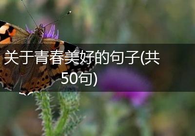 关于青春美好的句子(共50句)