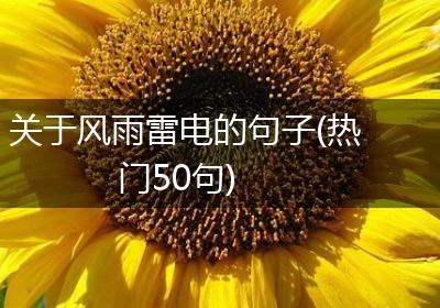 关于风雨雷电的句子(热门50句)