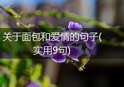 关于面包和爱情的句子(实用9句)