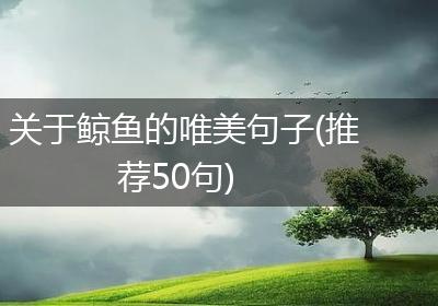 关于鲸鱼的唯美句子(推荐50句)