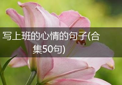 写上班的心情的句子(合集50句)