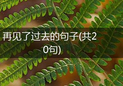 再见了过去的句子(共20句)