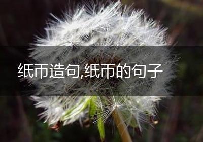 纸币造句,纸币的句子