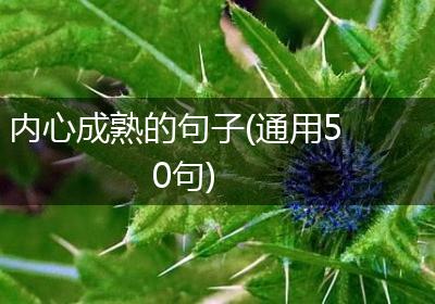 内心成熟的句子(通用50句)