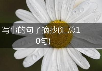 写事的句子摘抄(汇总10句)