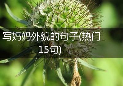 写妈妈外貌的句子(热门15句)
