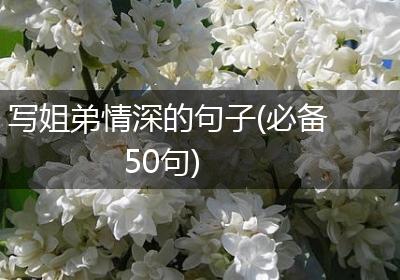 写姐弟情深的句子(必备50句)