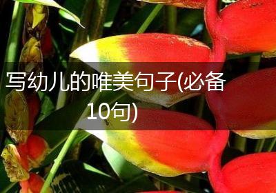 写幼儿的唯美句子(必备10句)