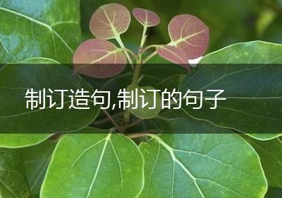 制订造句,制订的句子