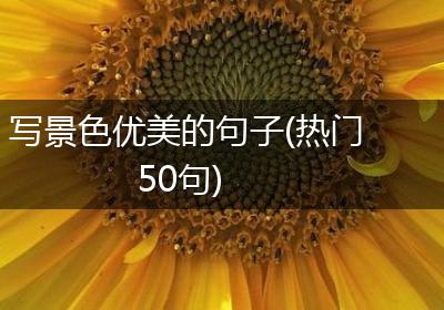 写景色优美的句子(热门50句)