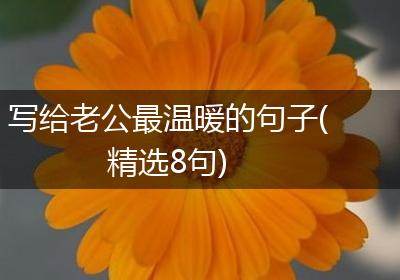 写给老公最温暖的句子(精选8句)