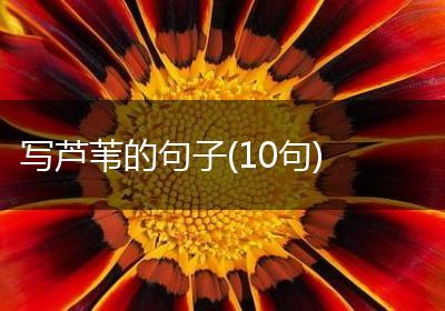 写芦苇的句子(10句)