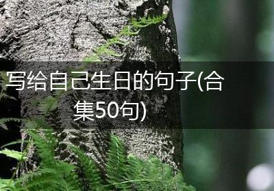 写给自己生日的句子(合集50句)