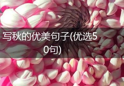 写秋的优美句子(优选50句)