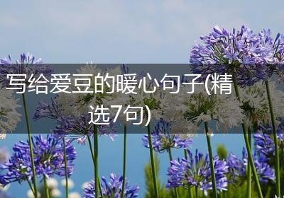 写给爱豆的暖心句子(精选7句)