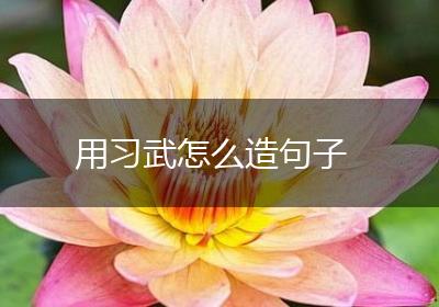 用习武怎么造句子