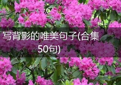 写背影的唯美句子(合集50句)