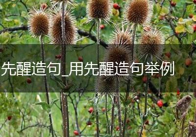 先醒造句_用先醒造句举例