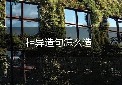 相异造句怎么造
