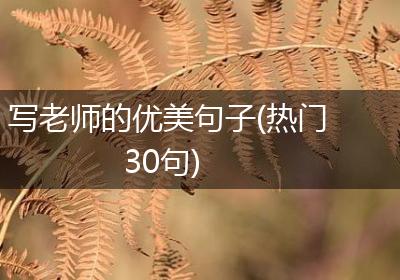 写老师的优美句子(热门30句)