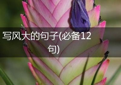 写风大的句子(必备12句)