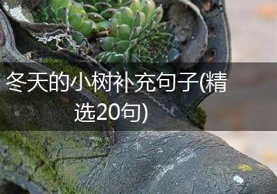 冬天的小树补充句子(精选20句)