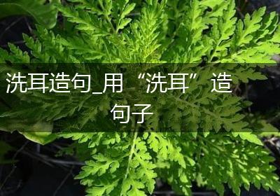 洗耳造句_用“洗耳”造句子