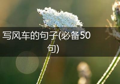 写风车的句子(必备50句)