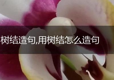 树结造句,用树结怎么造句