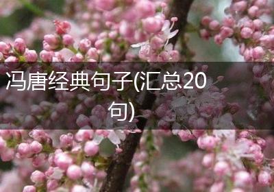冯唐经典句子(汇总20句)