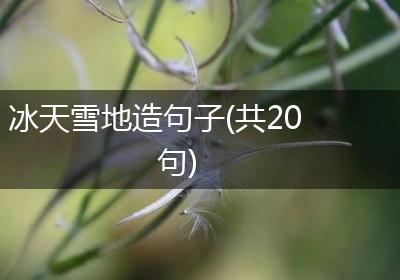 冰天雪地造句子(共20句)