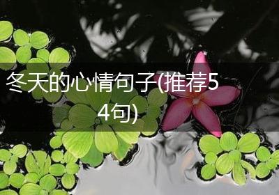 冬天的心情句子(推荐54句)