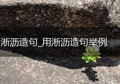 淅沥造句_用淅沥造句举例