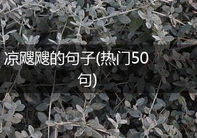 凉飕飕的句子(热门50句)