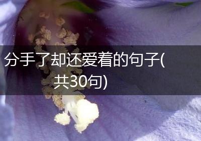分手了却还爱着的句子(共30句)