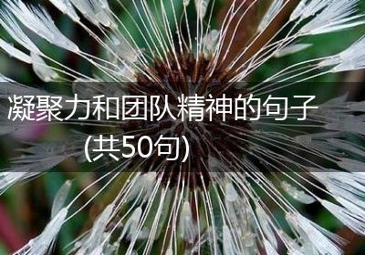 凝聚力和团队精神的句子(共50句)