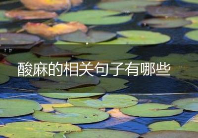 酸麻的相关句子有哪些