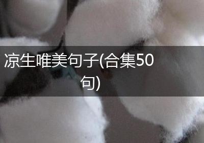 凉生唯美句子(合集50句)