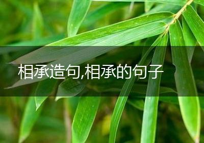 相承造句,相承的句子