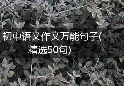 初中语文作文万能句子(精选50句)