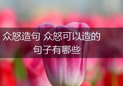 众怒造句 众怒可以造的句子有哪些