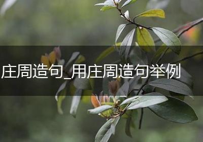 庄周造句_用庄周造句举例