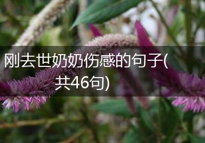 刚去世奶奶伤感的句子(共46句)