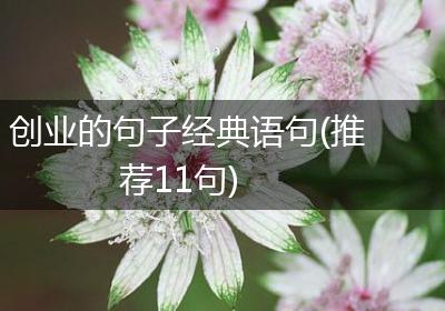 创业的句子经典语句(推荐11句)