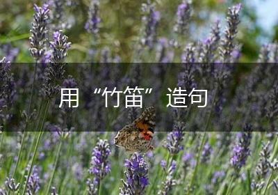用“竹笛”造句