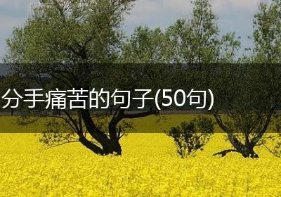 分手痛苦的句子(50句)