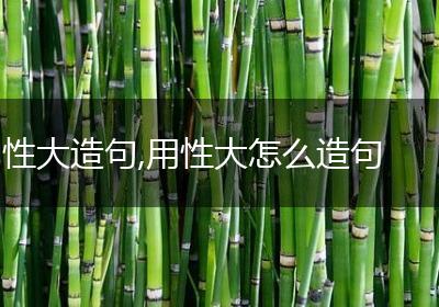 性大造句,用性大怎么造句