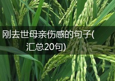 刚去世母亲伤感的句子(汇总20句)