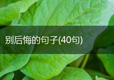 别后悔的句子(40句)
