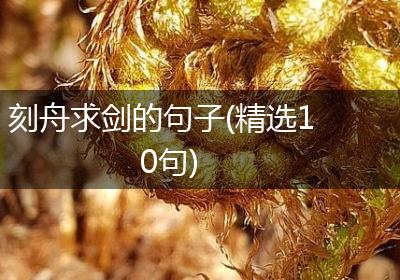 刻舟求剑的句子(精选10句)